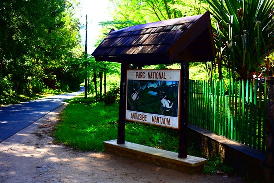 Parco Nazionale Andasibe-Mantadia