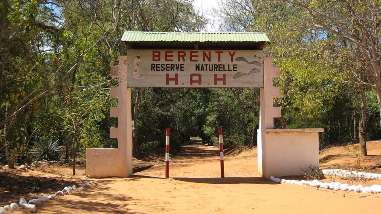 Riserva naturale di Berenty